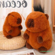 �����桿ˮ������Ў�������Ƥ����ˮ����ë�q��߱���ˮ������