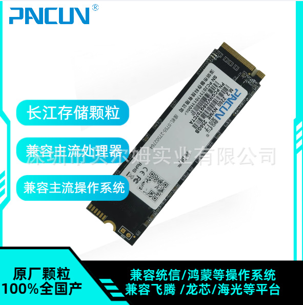 Pancon Changjiang Storage M.2Nvme256G\512G\4T National Solid State Drive Gen4*4 Wide Temperature