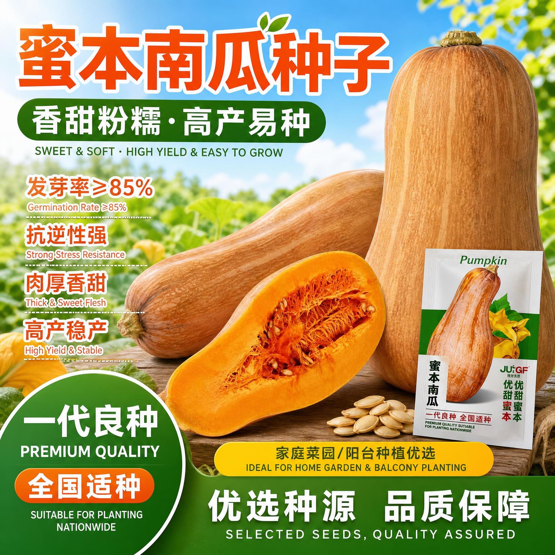 香甜蜜本南瓜种子高产老南瓜种籽家庭菜园阳台庭院易种蔬菜种子
