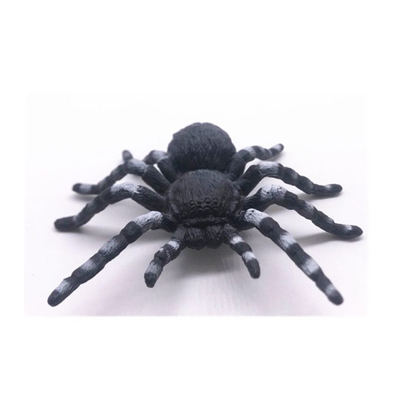 22550323871_326025122