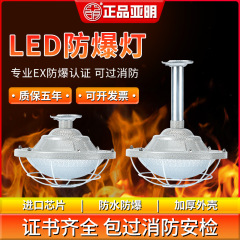 亜明防爆灯led防爆型照明灯100wガソリンスタンド化学工場防水防錆ランプシャンデリア