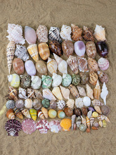 ��Ȼ����ؐ���~���쾰�ľ�з��Q���ҾӔ[���Y��Ư�����σ�ͯ����