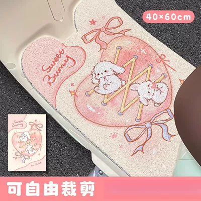 Avtomobil döşəmə paspasları – Electric Vehicle and Motorcycle Foot - zx-lively-cute-things-3-3050-anti-slip-dirt-proof-wire-ring