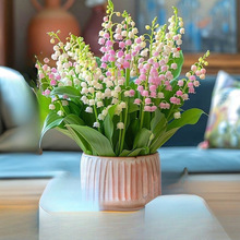 ��ɫ��m���玧ѿ�������ԾGֲ��N���M�҃��⻨�ܾGֲ�ļ��_����