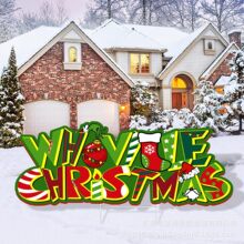 �羳�¿�2024�}�Q���ز��Ƒ���ͥԺ��ĸ�Ɍ��b��пհ�V���Ƙ�־