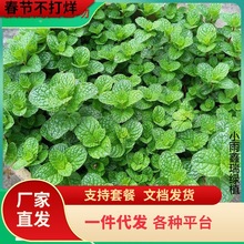 һlɿʳ÷Nļ؈~ֲ̨҃׷N