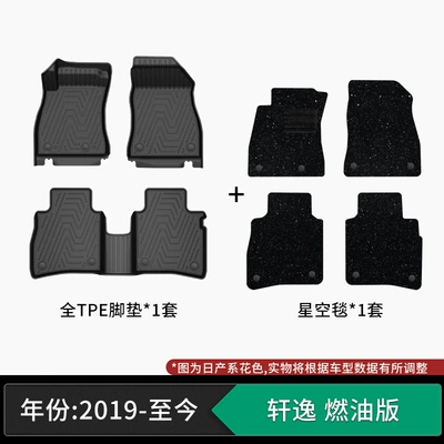mats, eco-friendly material, automotive-grade – Modelə uyğun ayaqaltı - 19-present-model-nissan-sylphy-petrol-version-tpe-floor-mats-starry-sky-velvet-carpet