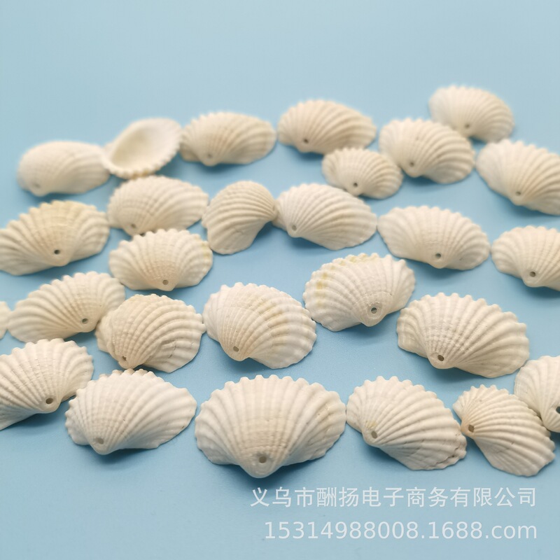 Perforated Snow White Shell 2-3cm Shell Conch Accessories Bohemian DIY Hand Necklace Kindergarten Handmade Material