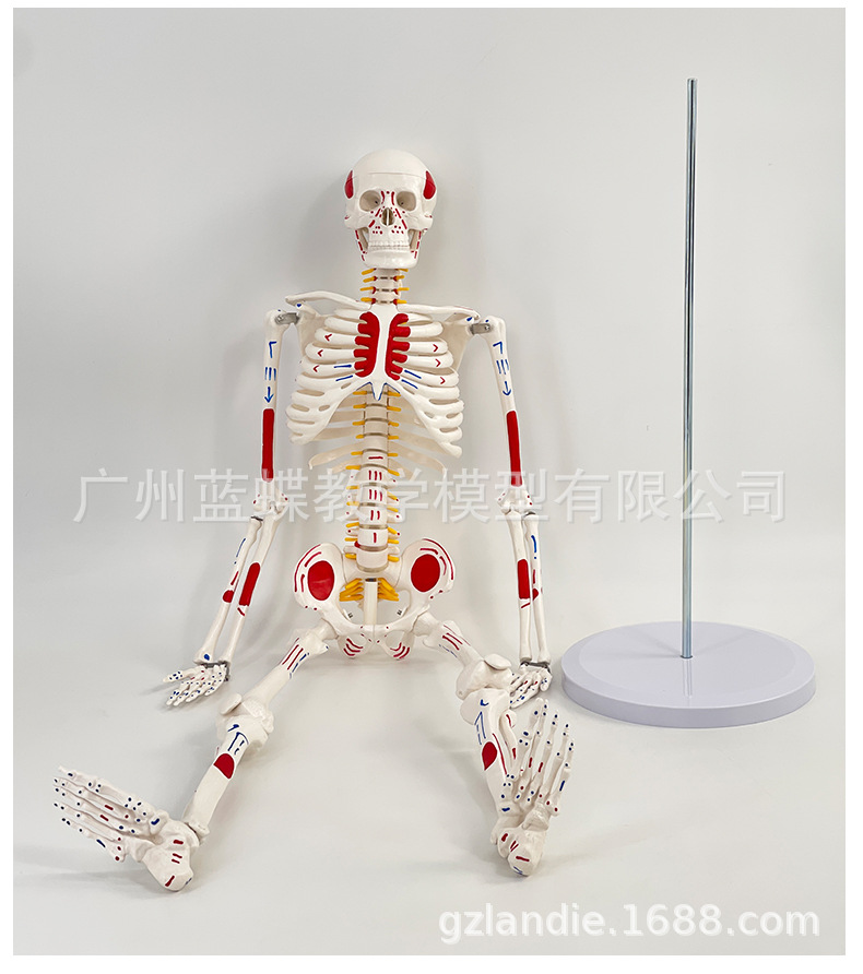 详情1 (6)