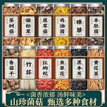 xݻ؛ǾƷʮ䜫ϟuҜĢ