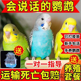 ��Ƥ�W�^����B���P�W�^�Bĵ���W�^���fԒ���W�^�����B�W�^