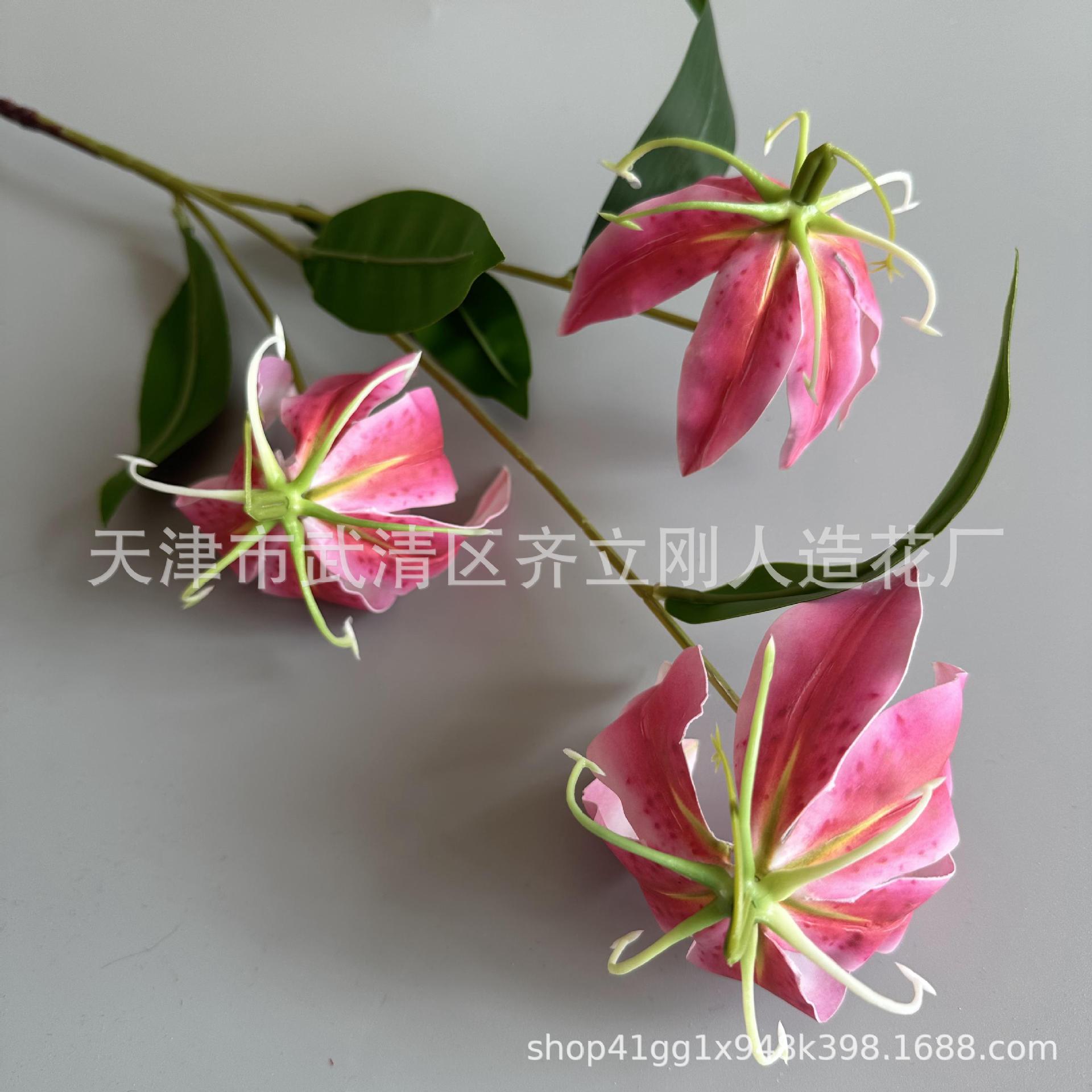 14호