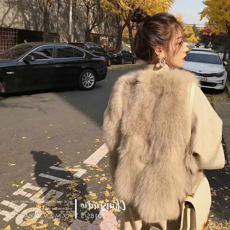 Новинка 2025 года, осенне-зимний жилет из искусственного лисьего меха, короткий меховой жилет, тонкая плюшевая куртка в корейском стиле