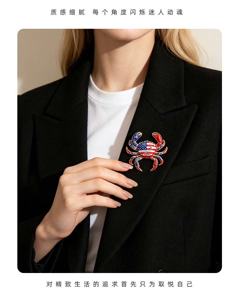 Eco-friendly crab brooch, 5 enamel pins, football, stars and stripes, blue and white porcelain themed accessories