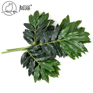 �Ӻ����â���~���Ϳ���~�����~�ӈ@�ֹ����b٘�֦����ă�