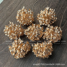 ��������ɫ����ľ�����^�����^��ɫ���ȼ����y���~������