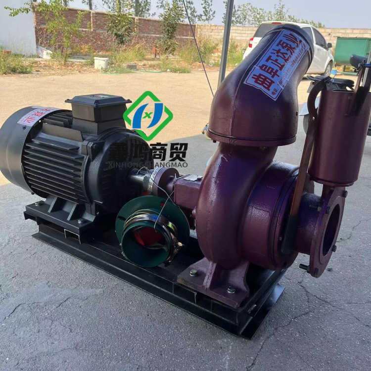 6双叶轮压井离心泵电机款三项电机带动轴连水泵工程用水抽水泵