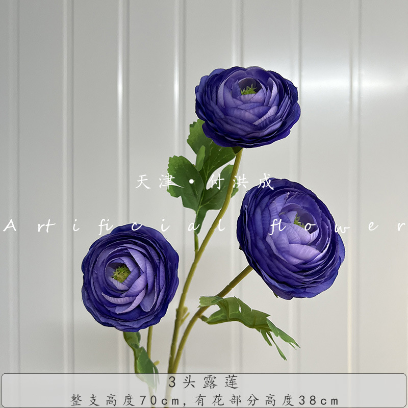 3등 Lulian-다크 퍼플