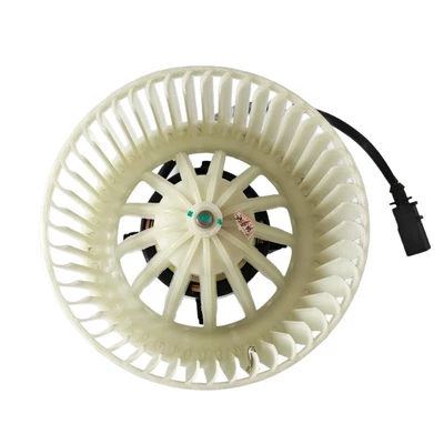 wholesale, Fan