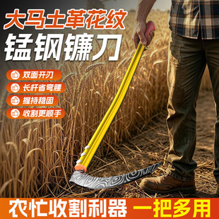 ���Rʿ��砵�������砵���ݸ������r���_�������h�������p��ʡ��