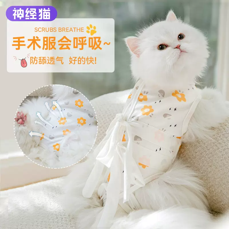 猫咪绝育衣服手术服母猫断奶防舔防后绑带式猫术后宠物用品批发
