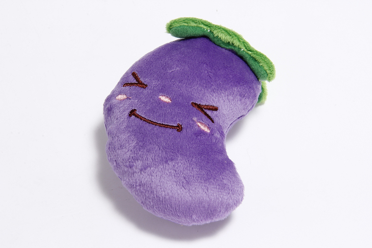 보라색 가지