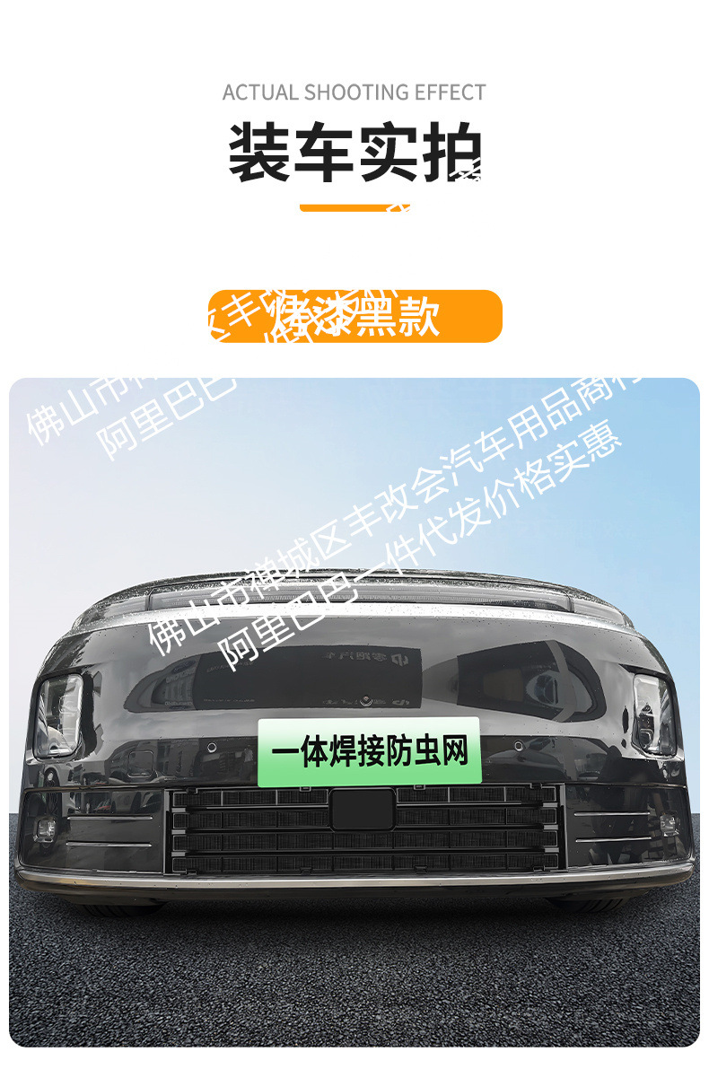 Suitable for Leapmotor D99 pure electric version/rechargeable version, integrated welded car insect-proof mesh, special accessory for the front grille