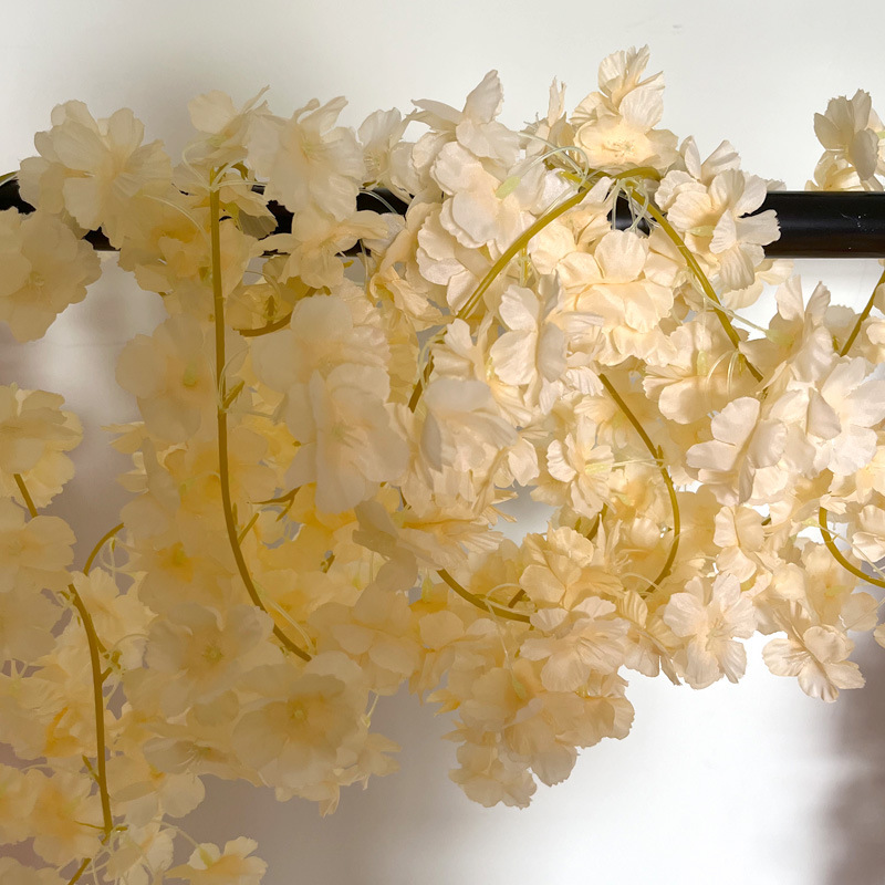 135 머리 샴페인 체리 덩굴 [1]]