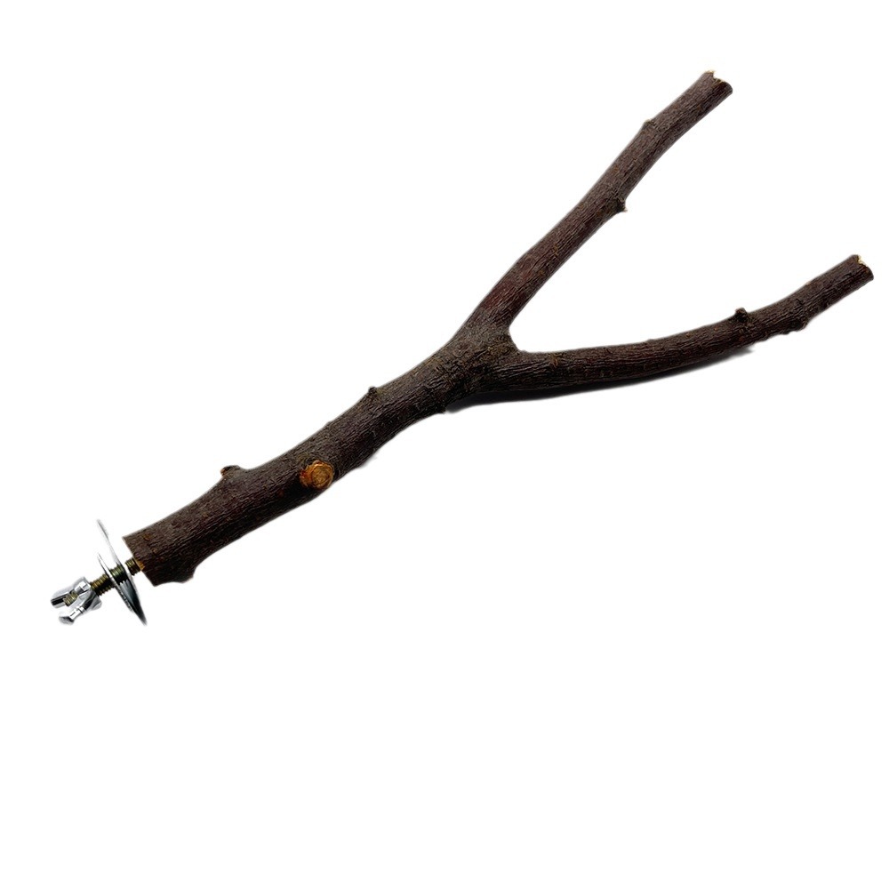 Parrot, pata, madera maciza, marco de estación de aves, madera de manzana natural, poste de estación de aves de doble rama, tronco, juguete de aves, accesorios de jaula de aves