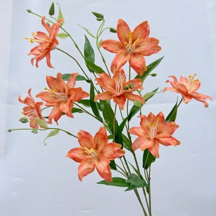 2�^�ذ�С�ٺϽ�����֧��c���滨�ҾӔ[���껨�廨���