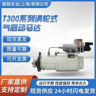 T300