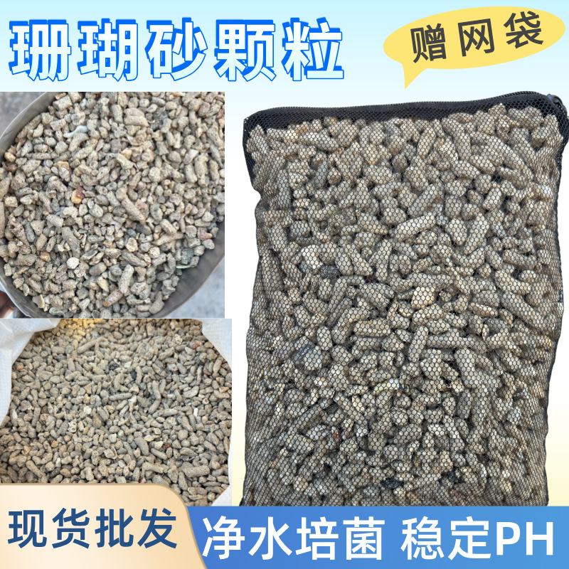 批发小袋珊瑚砂珊瑚骨鱼缸过滤净化水质污水处理水族馆造景微景观
