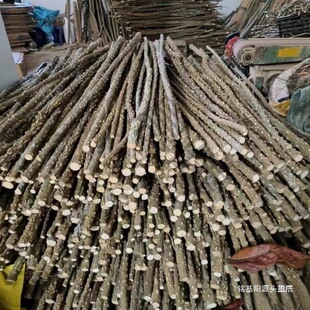 �Uľ�������˸�צ�]վվ��Ȼ����ľ����ü̫����Ұ��ĥ�����W�^�B