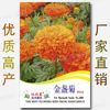 Spring and summer Season One -dollar Easy Seed Vegetable Seed Manufacturer Direct Sales Four Seasons Good Word of Mouth Word Seeds wholesale