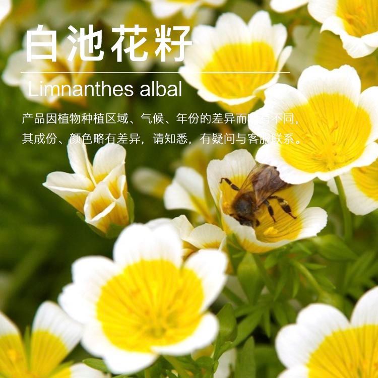 ���ҹ�Ӧ�׳ػ����� ��ѹ��ե�׳ػ��� ������ԭ������ ��ӭ�ɹ�