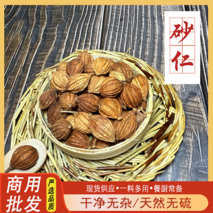 ��ɰ�ʬF؛���l�������ɰ���{ζ���ϸ�؛���l�u���_�ڏV����ɰ��