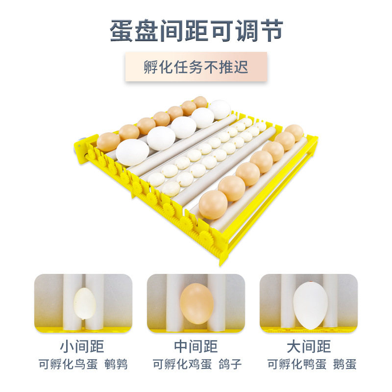 112 rodillo hogar incubadora automática pollo pato ganso codorniz pequeña incubadora de un clic huevo incubadora