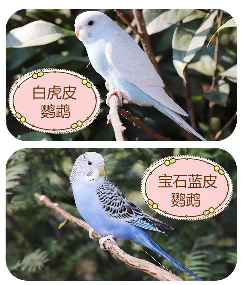 f47542cf-09a0-4c96-bb41-150a85b65481.jpe