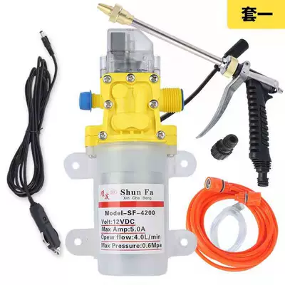 Micro Diaphragm Pump Car Car Wash Portable car washer