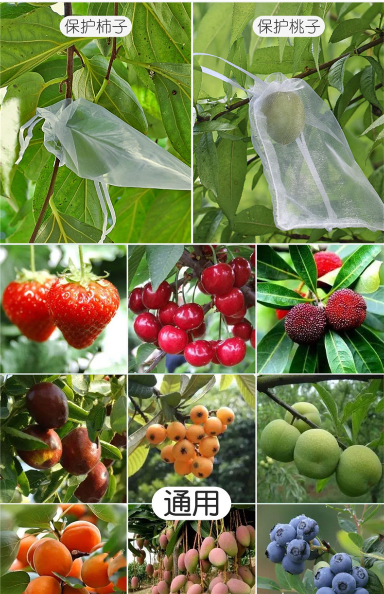 O1CN01X0dsTW23nS7XXIIuP_!!2496