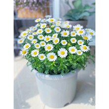 ���N��С�r���ļ����N�׾��շN���̨ͥԺ���N�׻��_������̫ꖻ�