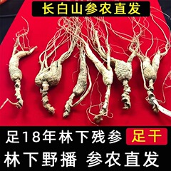 残林下参長白山は今乾燥人参林下参西洋参礼箱を掘って目上の人に林下参礼箱を送ります。