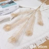 Pentopa Peacock Tail