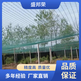 ʢ��s�r�u���o�W픾W���B���òˈ@���ӾW�����B�u�W�Bֳ�W��W��