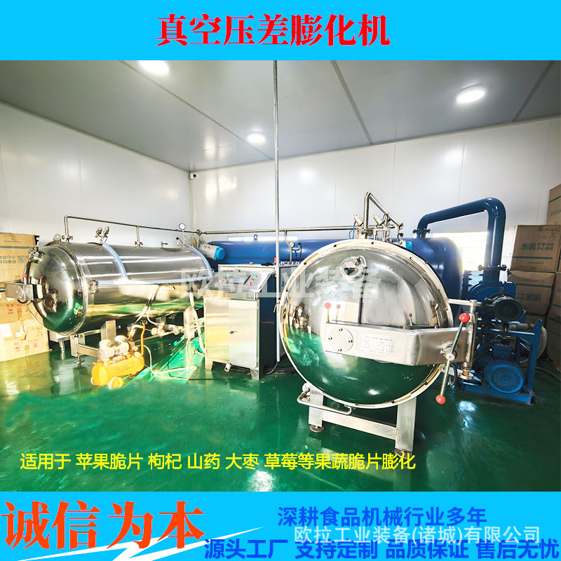 柿子片真空膨化机 杏干真空膨化干燥设备 菠萝蜜脆片加工设备