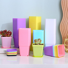 塑料花盆小方盆多肉花盆糖果色育苗盆7cm加厚小黑方彩色四方盆厂