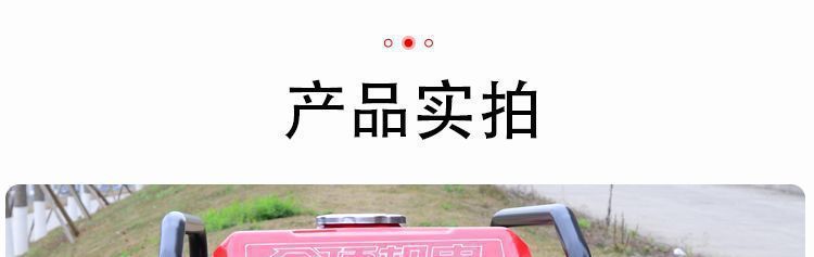 Variable frequency low-noise small gasoline generator 220V for home use, outdoor construction, portable, silent, electric start