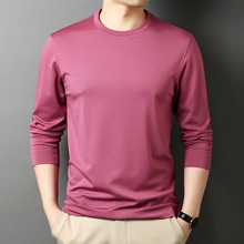 2025高档男式桑蚕丝长袖T恤中青年休闲百搭上衣高级感男士打底衣