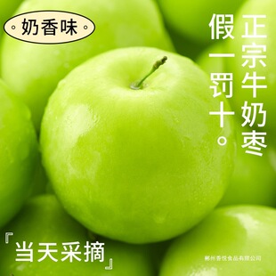 ����ţ���F�������������rˮ������������]���ۗ������O����5��