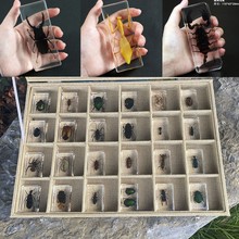 �羳ˮ���z�挍���x�˱����ս̾�͸��֬�[��֩��ϐ�ӽ������x����